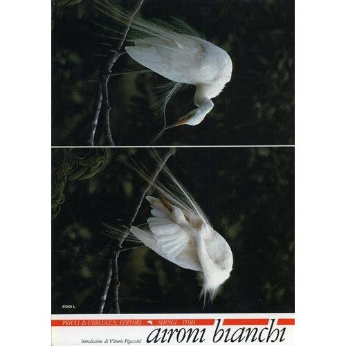 Book - White herons. - Shingi Itoh