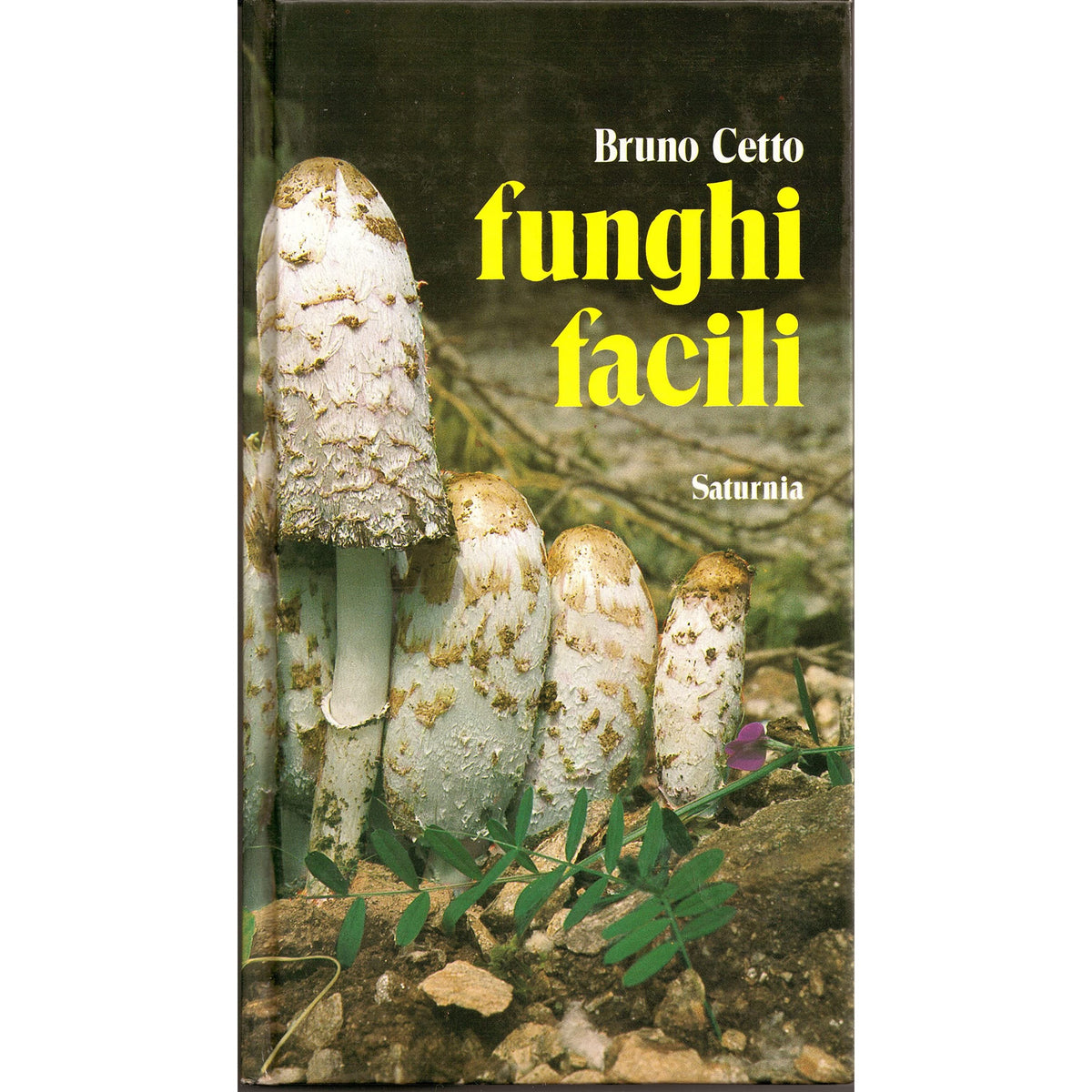 Libro - Funghi facili - Bruno, Cetto