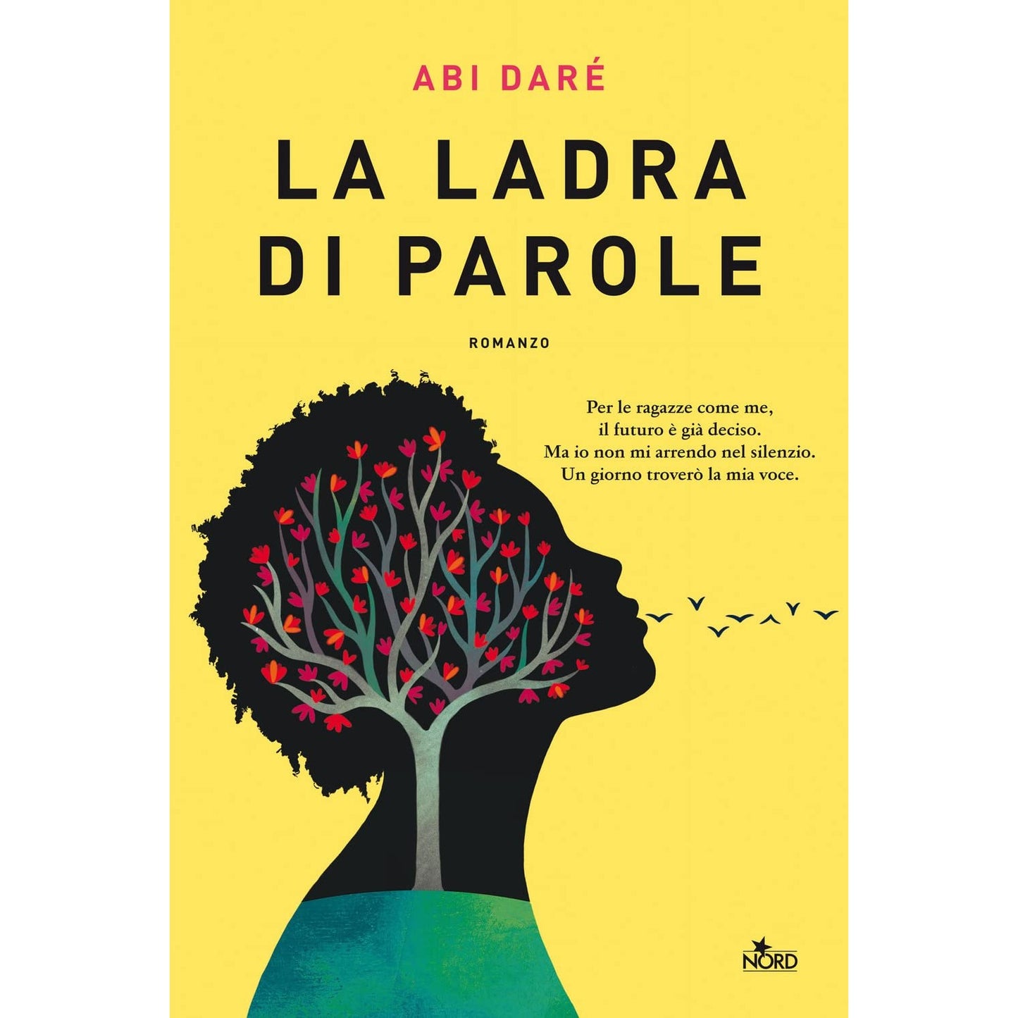 Libro - La ladra di parole - Daré, Abi