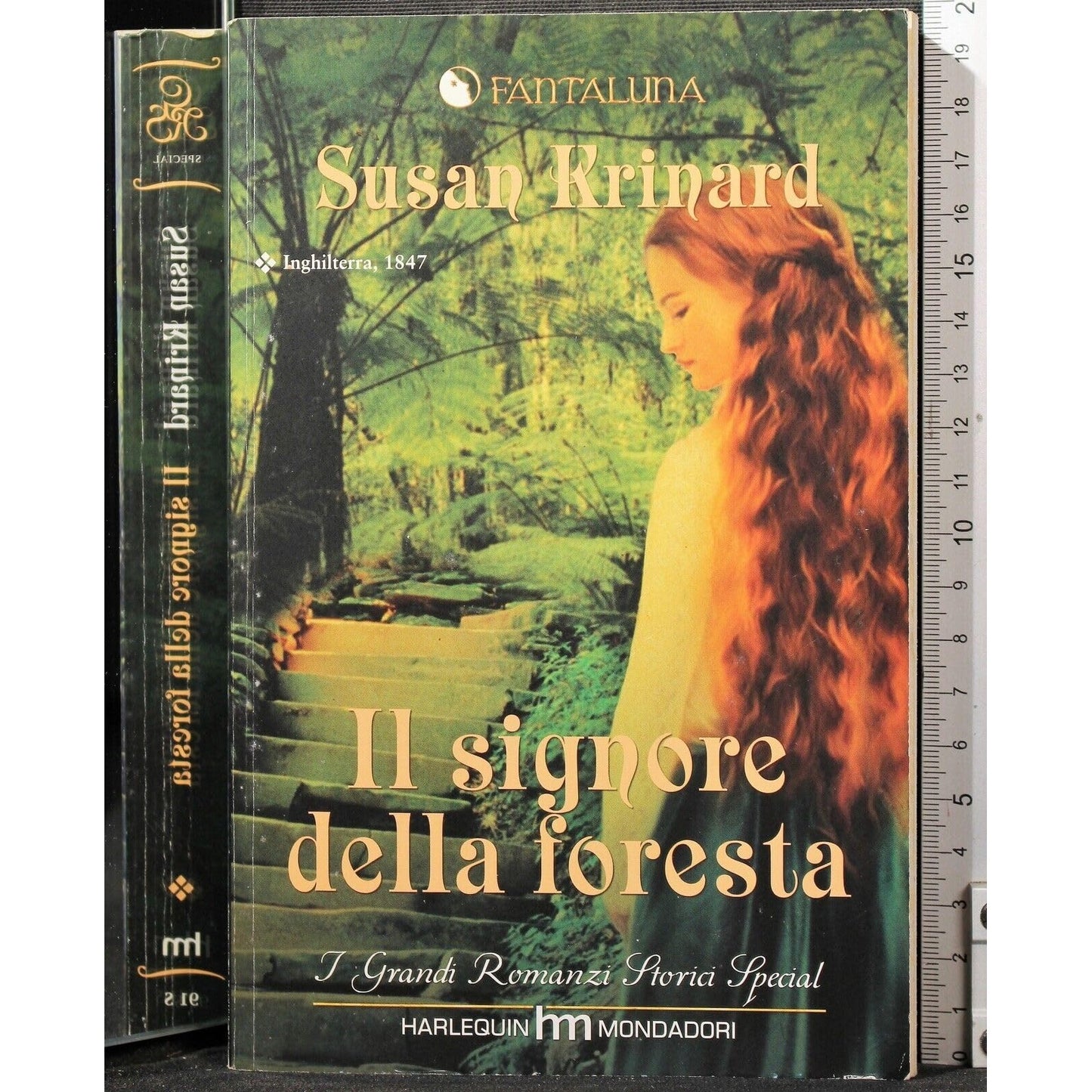 Libro - Il signore della foresta - Susan, Krinard
