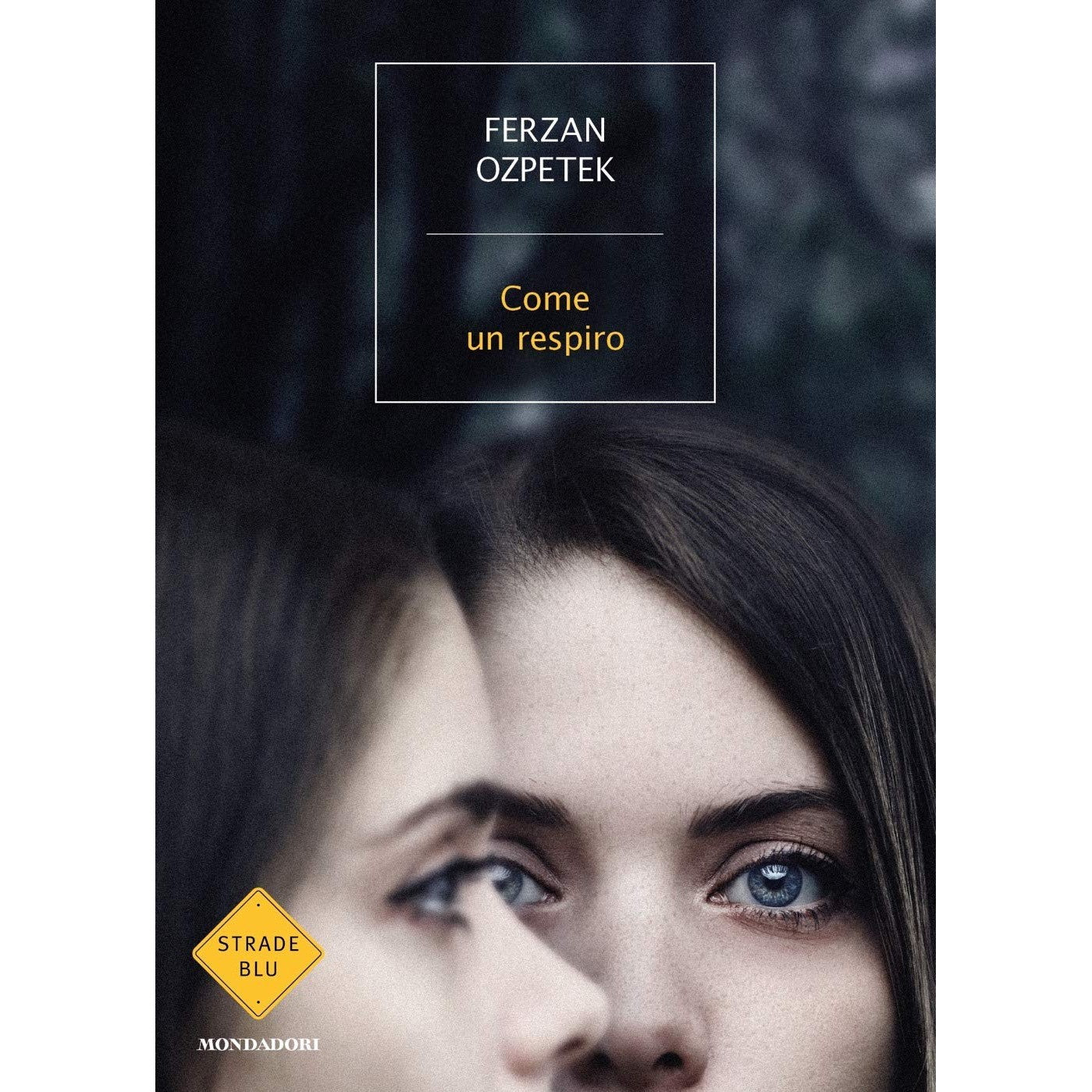 Libro - Come un respiro - Ozpetek, Ferzan