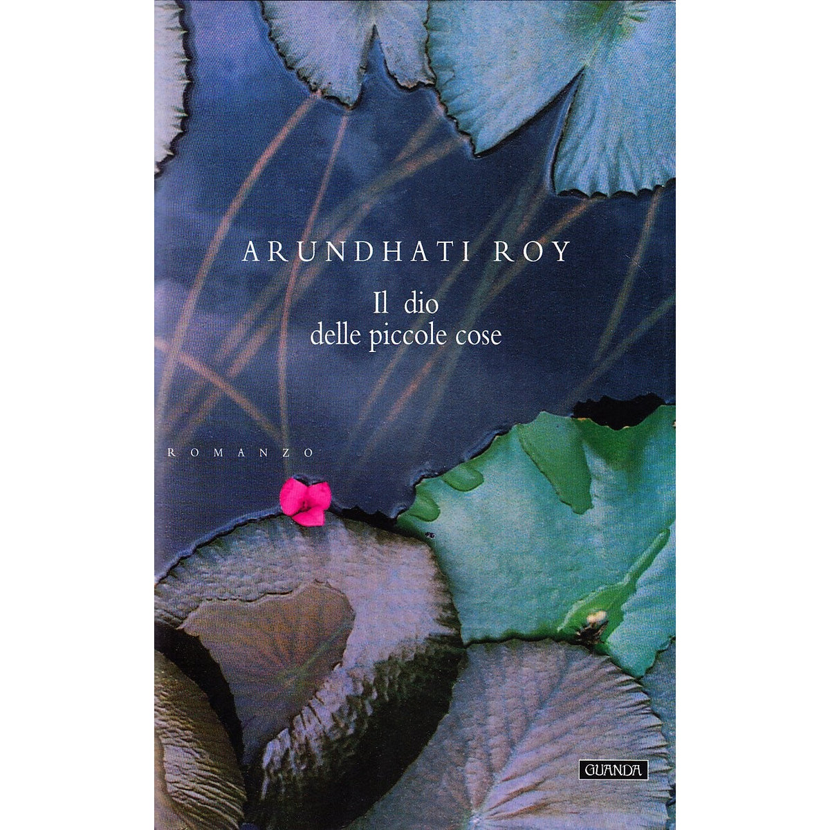 Libro - Il dio delle piccole cose - Roy, Arundhati