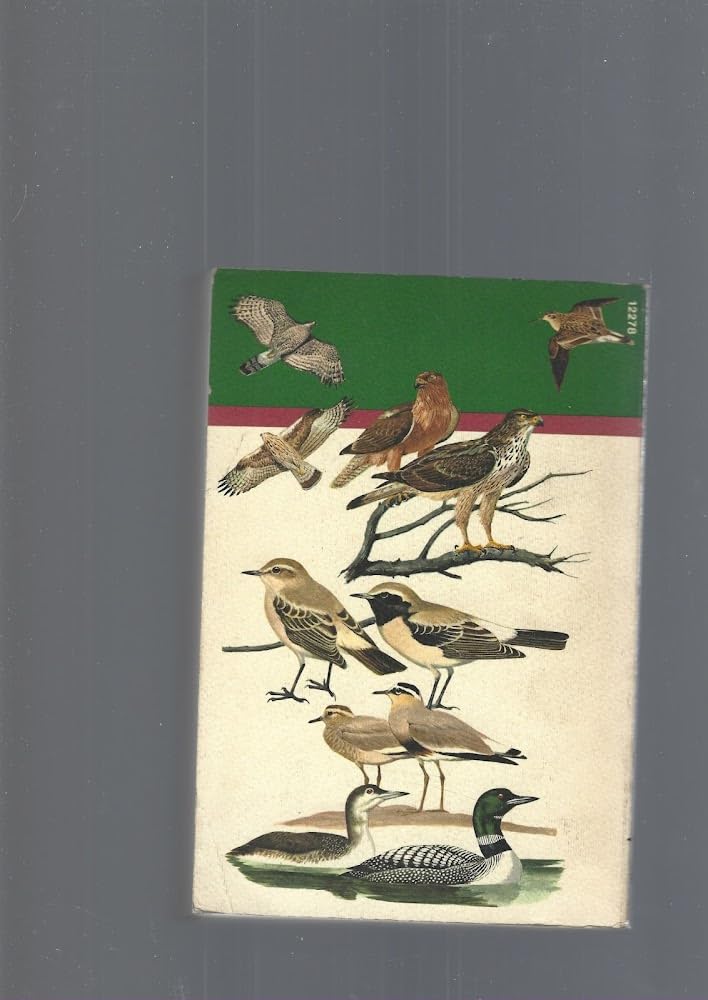 UCCELLI D'EUROPA 1975