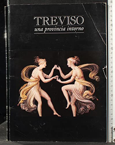 Libro - Treviso una provincia intorno - AA.VV
