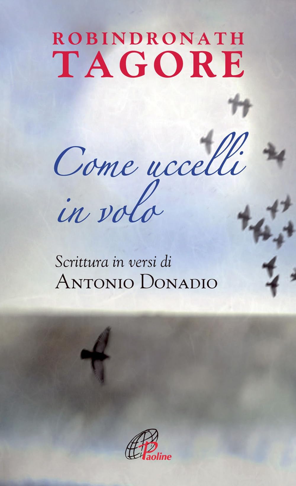 Libro - Come uccelli in volo - Donadio, Antonio