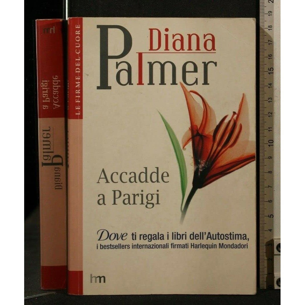 Libro - Accadde a Parigi - Palmer Diana