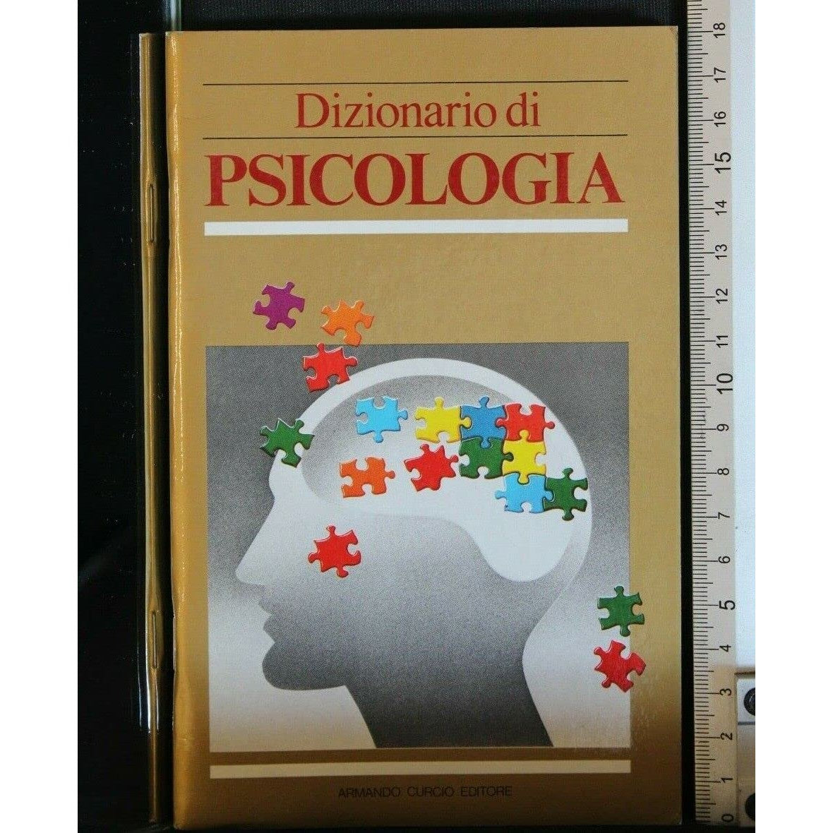 Libro - DIZIONARIO DI PSICOLOGIA - Armando, Curcio