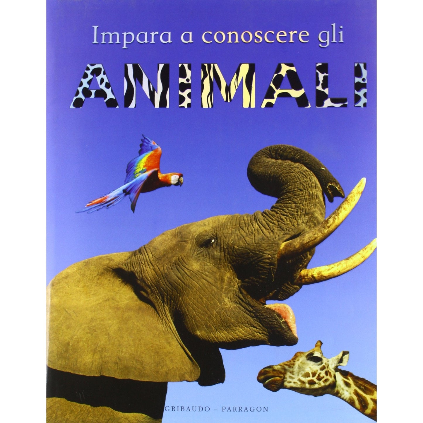 Libro - Impara a conoscere gli animali Ediz illustrata - Morgan, Sa