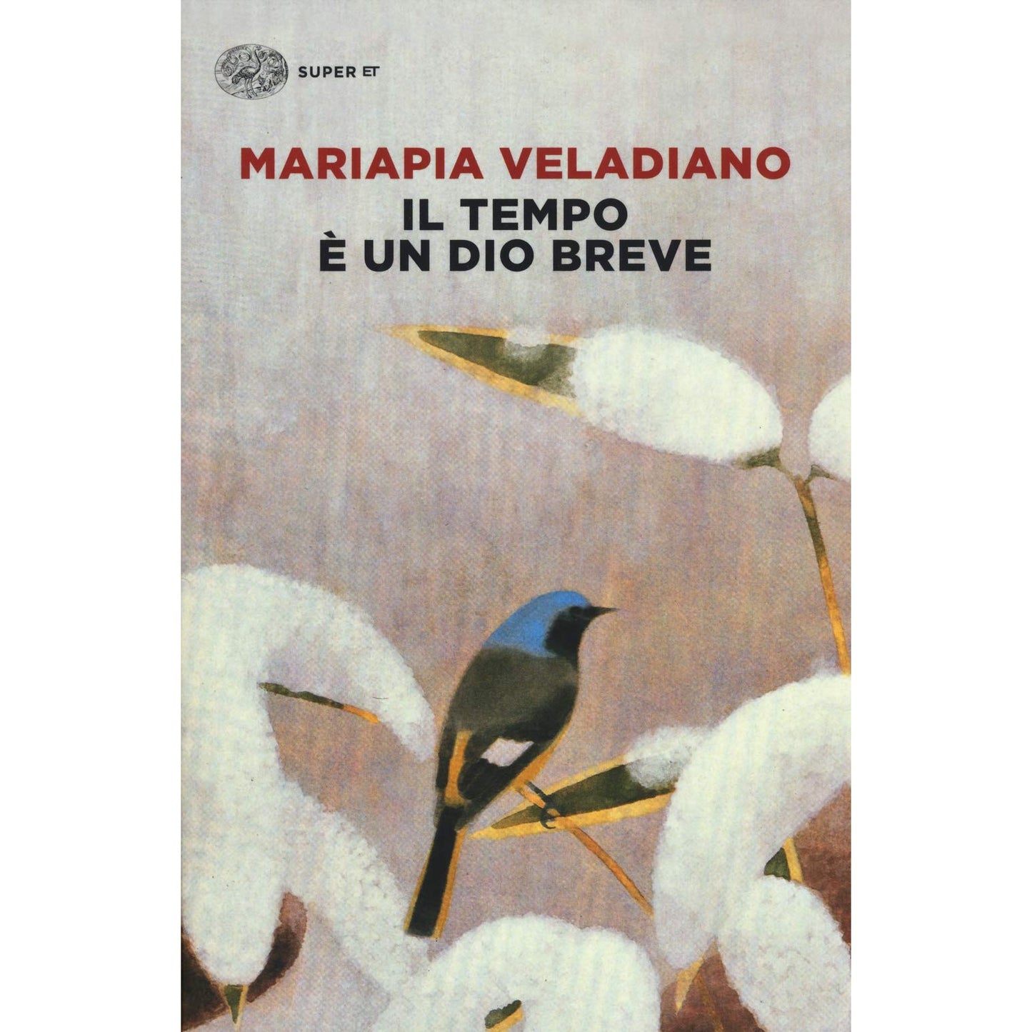 Libro - Il tempo è un dio breve - Veladiano, Mariapia