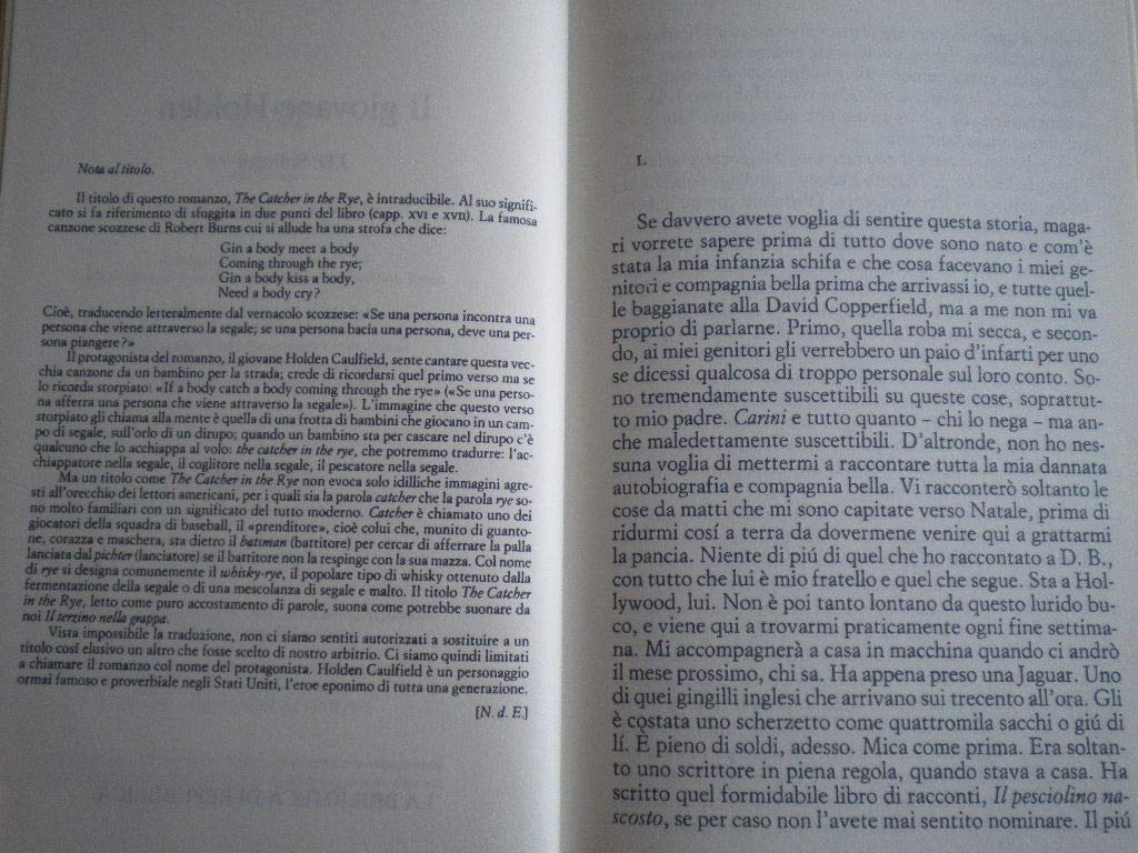 Il giovane Holden