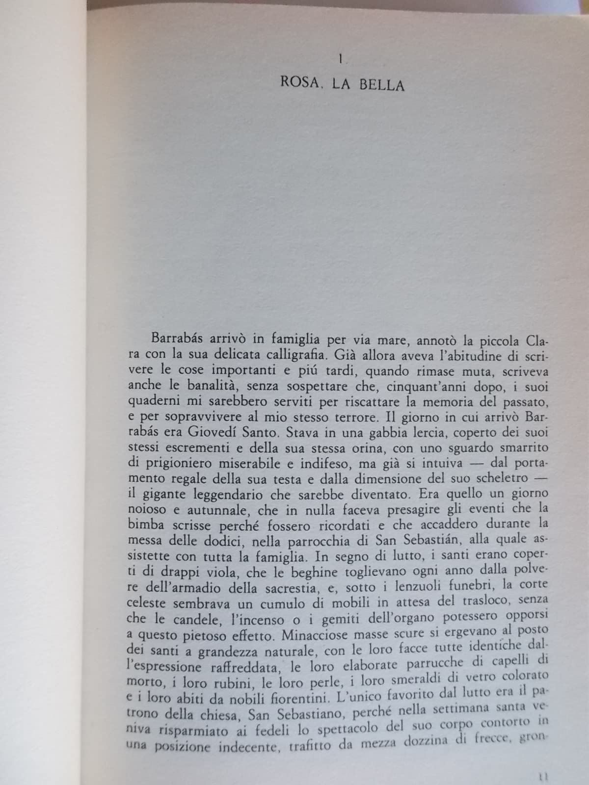 Libro - La casa degli spiriti - Allende, Isabel