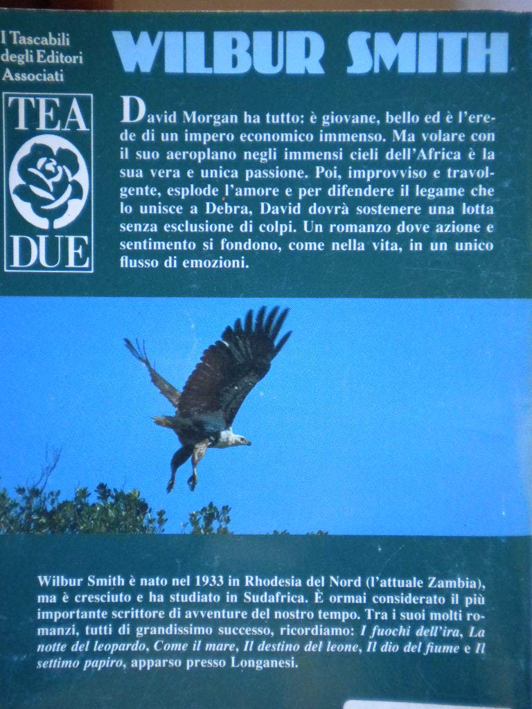 Un'aquila nel cielo