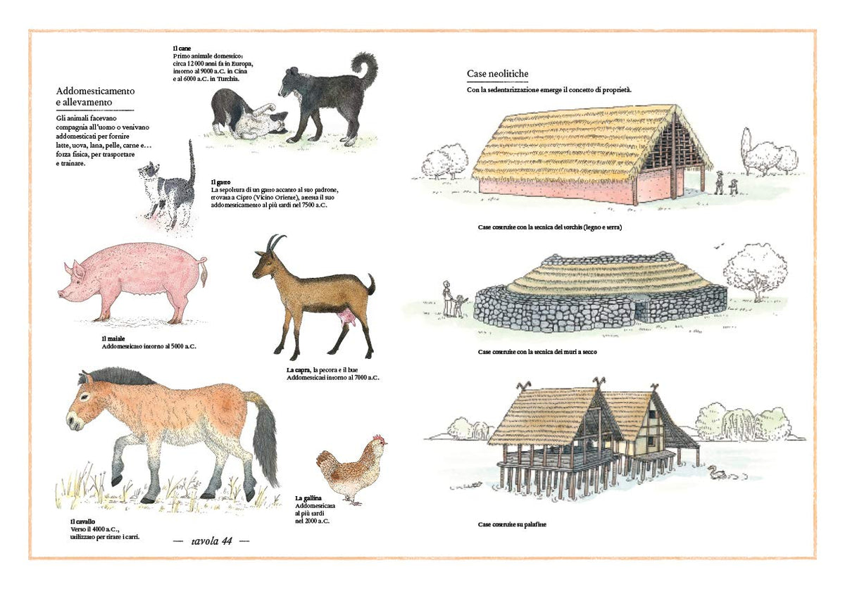 Libro - Inventario illustrato della preistoria - Aladjidi, Virginie