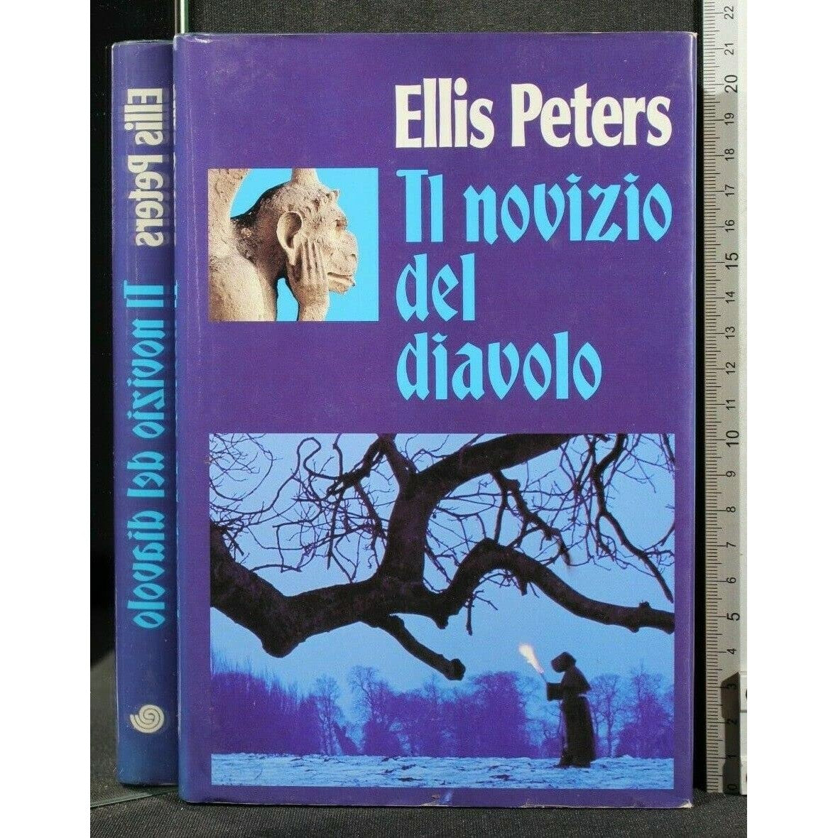 Libro - Il novizio del diavolo