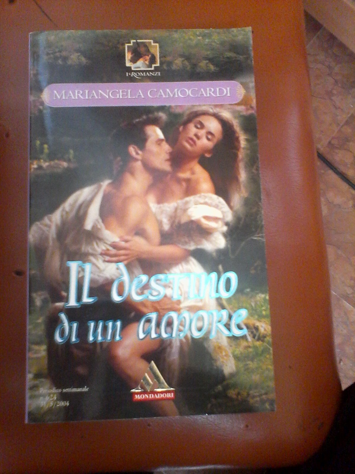 Libro - Desiderio nel Sole - Karen Robards - Mondadori 2009 - camocardi