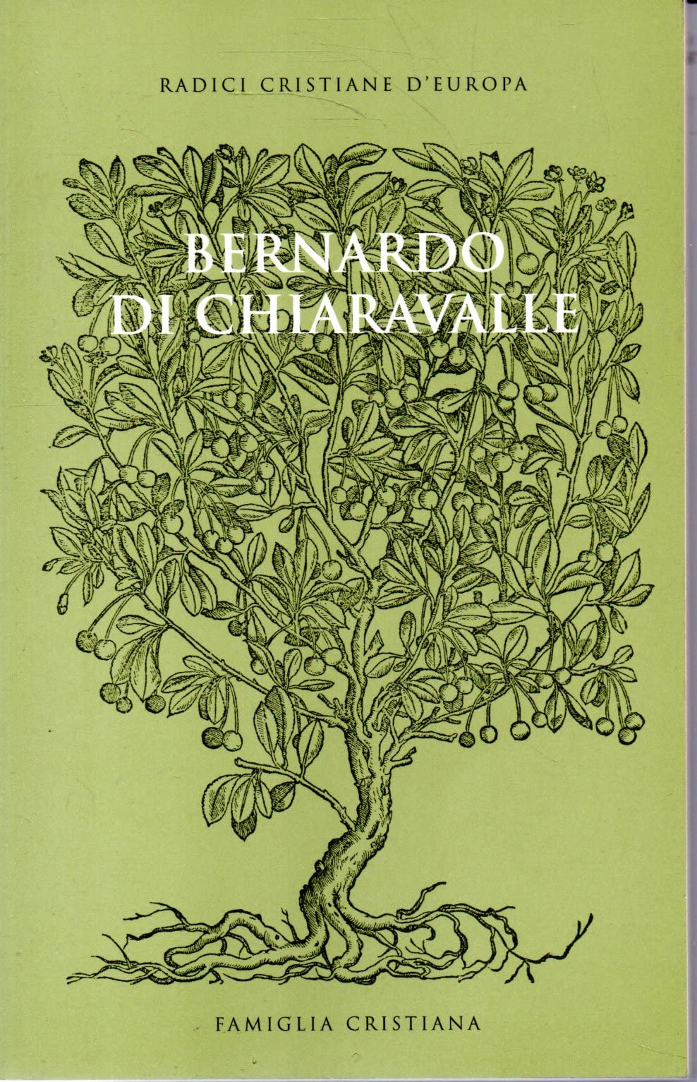 BERNARDO DI CHIARAVALLE - RADICI CRISTIANE D'EUROPA -