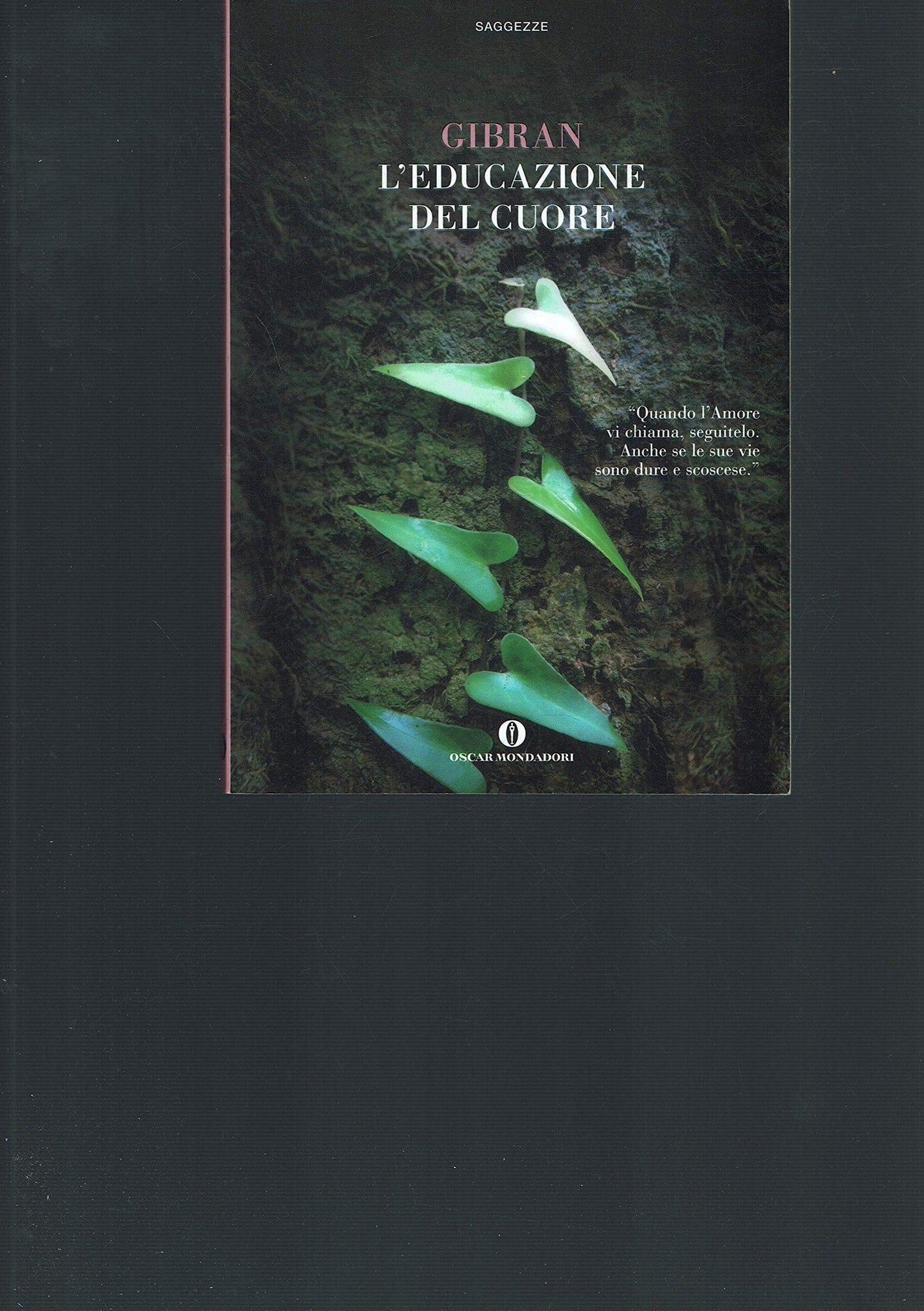 Libro - L'educazione del cuore - Gibran, Kahlil