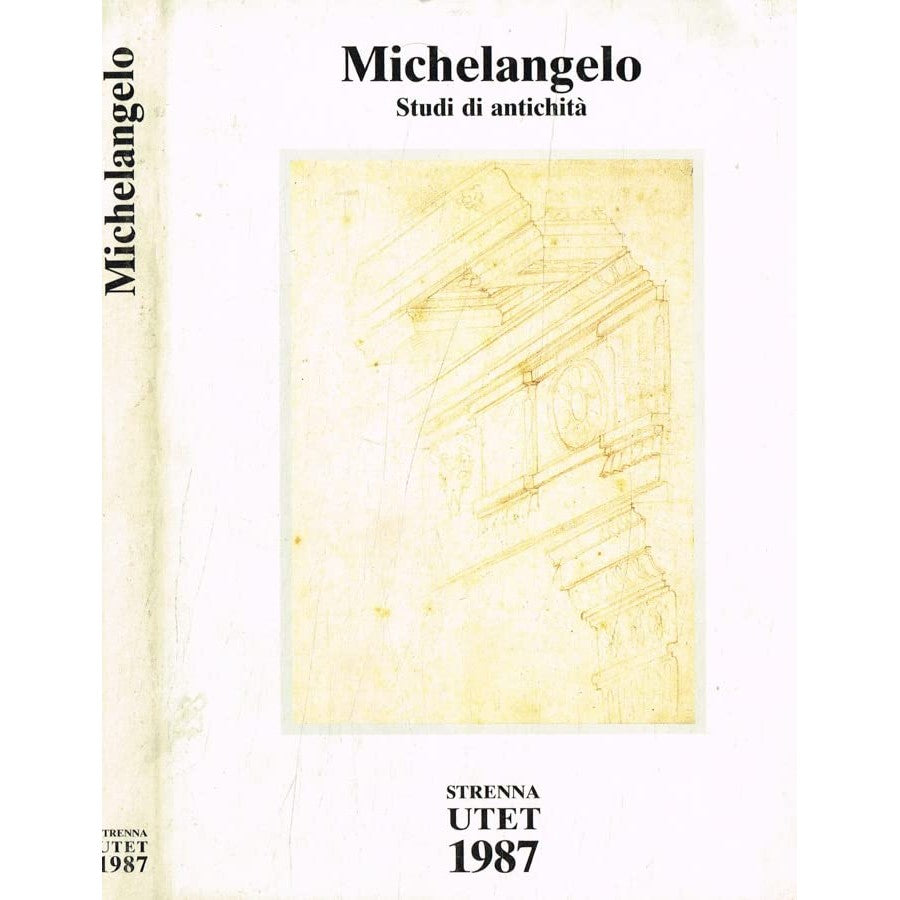 Libro - Michelangelo Studi d - Giovanni Agosto, Vincenzo Farinella, a cura di
