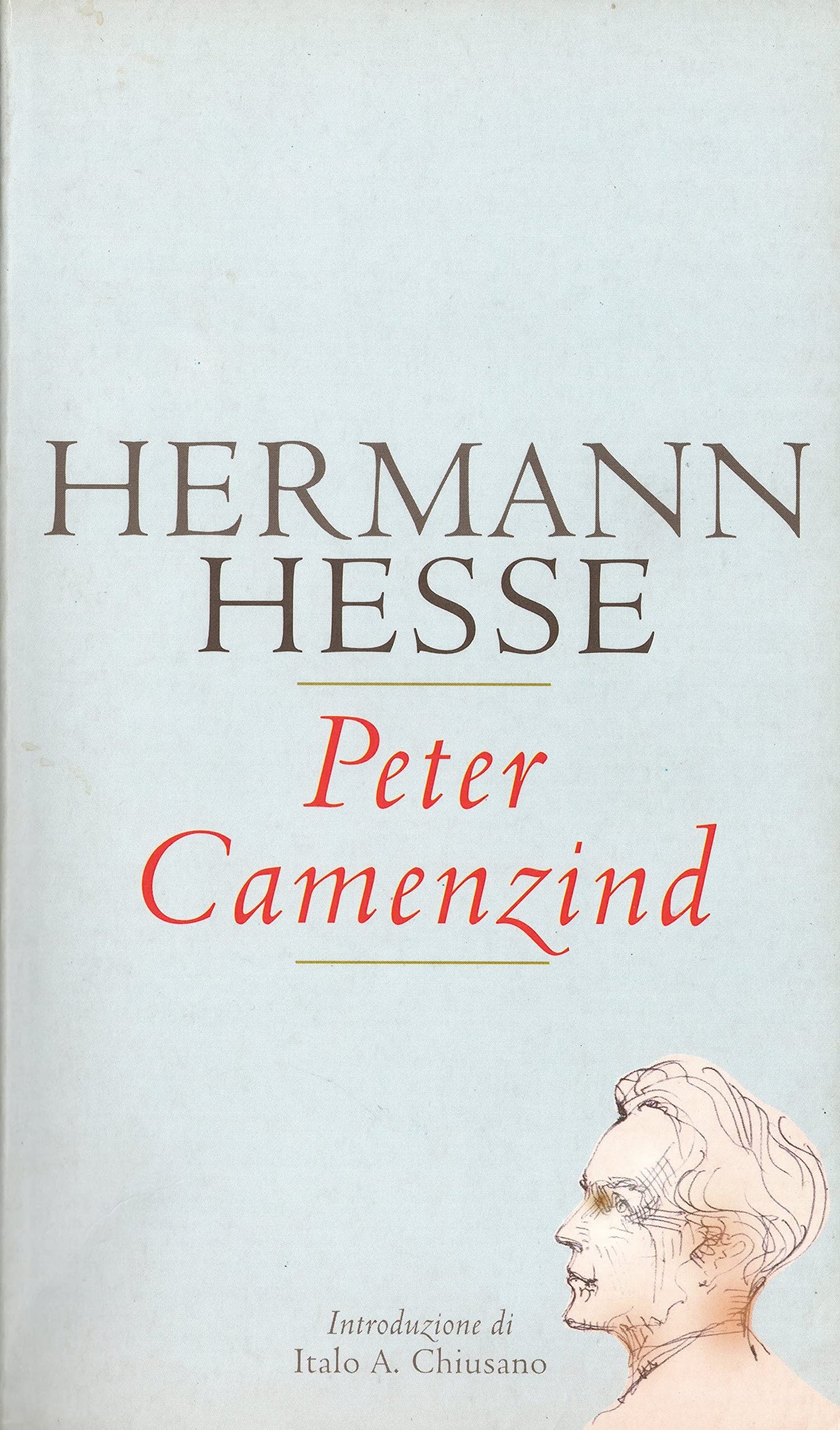 Libro - Peter camenzind - Hermann Hesse Trad di Ervino Pocar Introd di Italo Alighiero Chiusano