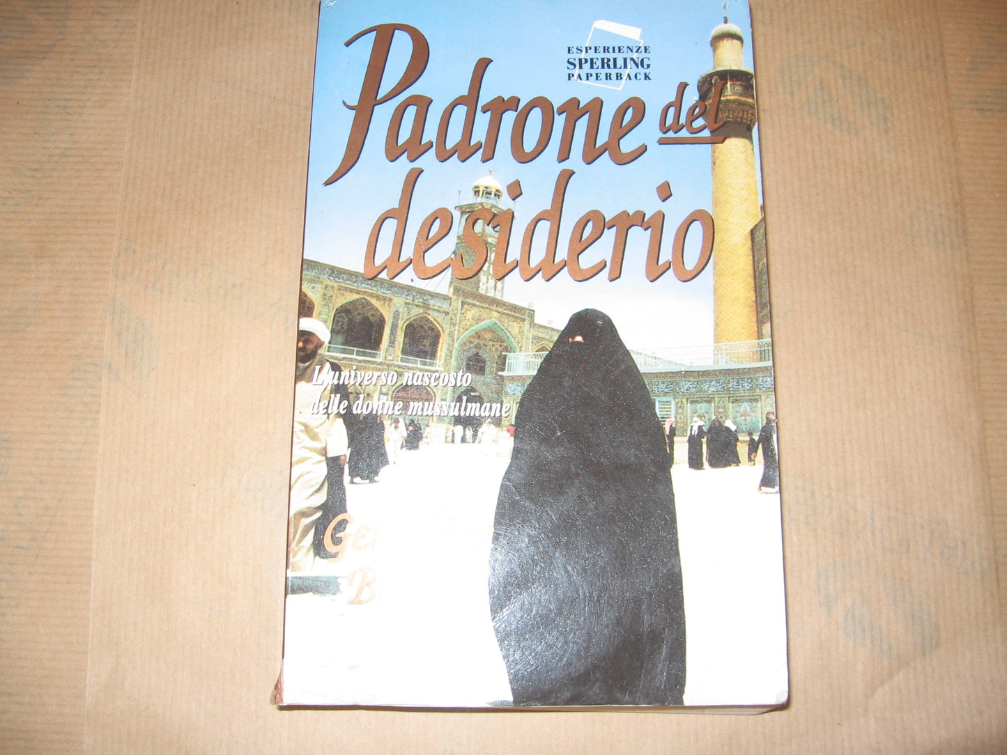 Padrone del desiderio. L'universo nascosto delle donne musulmane