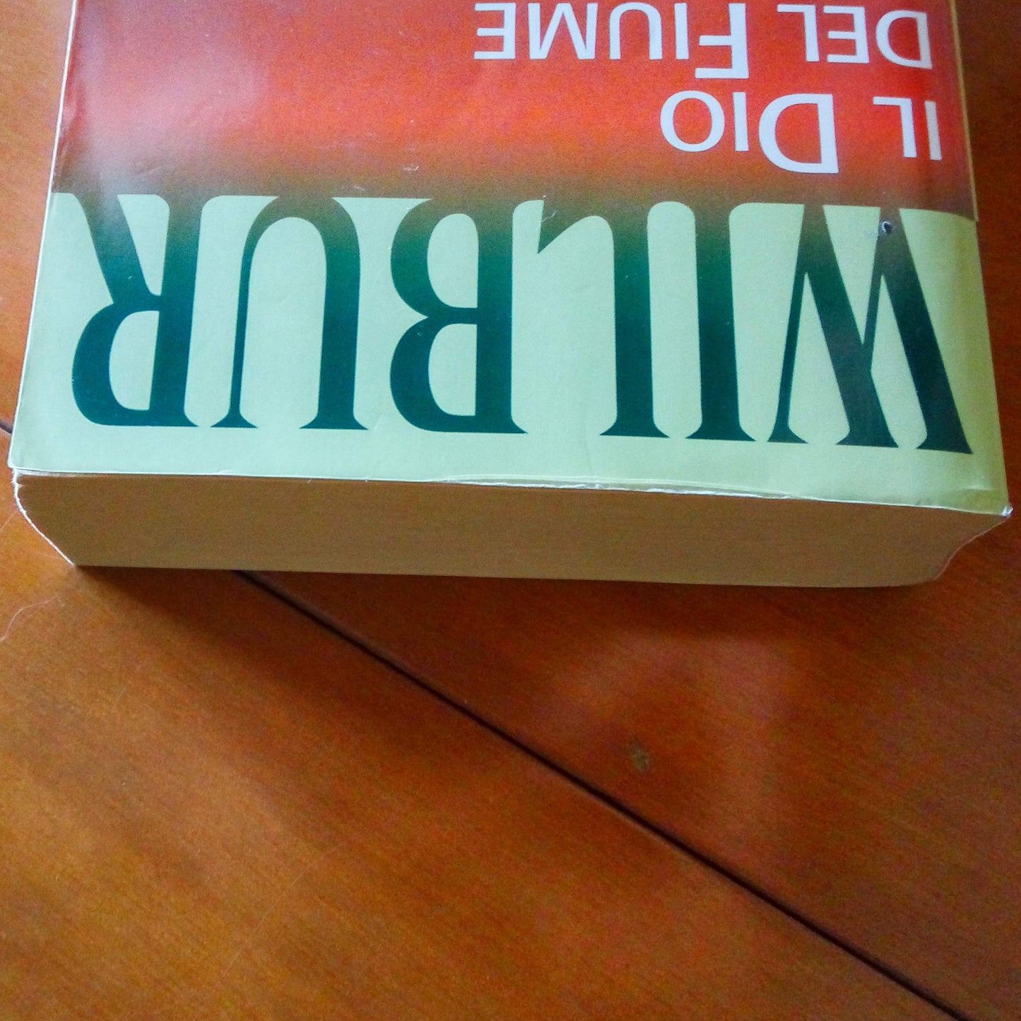 Libro - Il dio del fiume - Smith, Wilbur