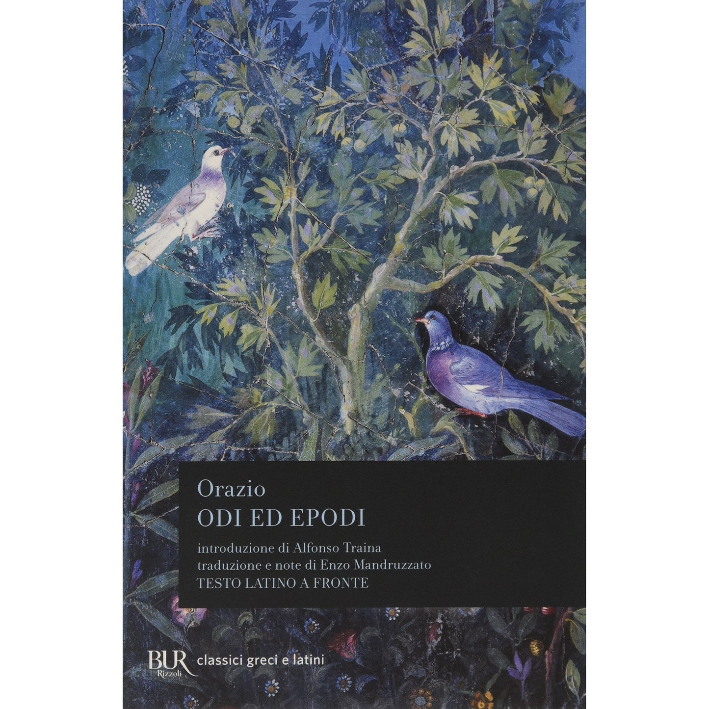 Libro - Odi ed epodi - Orazio, Flacco, Quint - Orazio Flacco, Quinto
