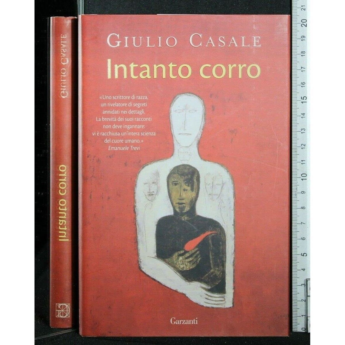 Libro - Intanto corro - Casale, Giulio