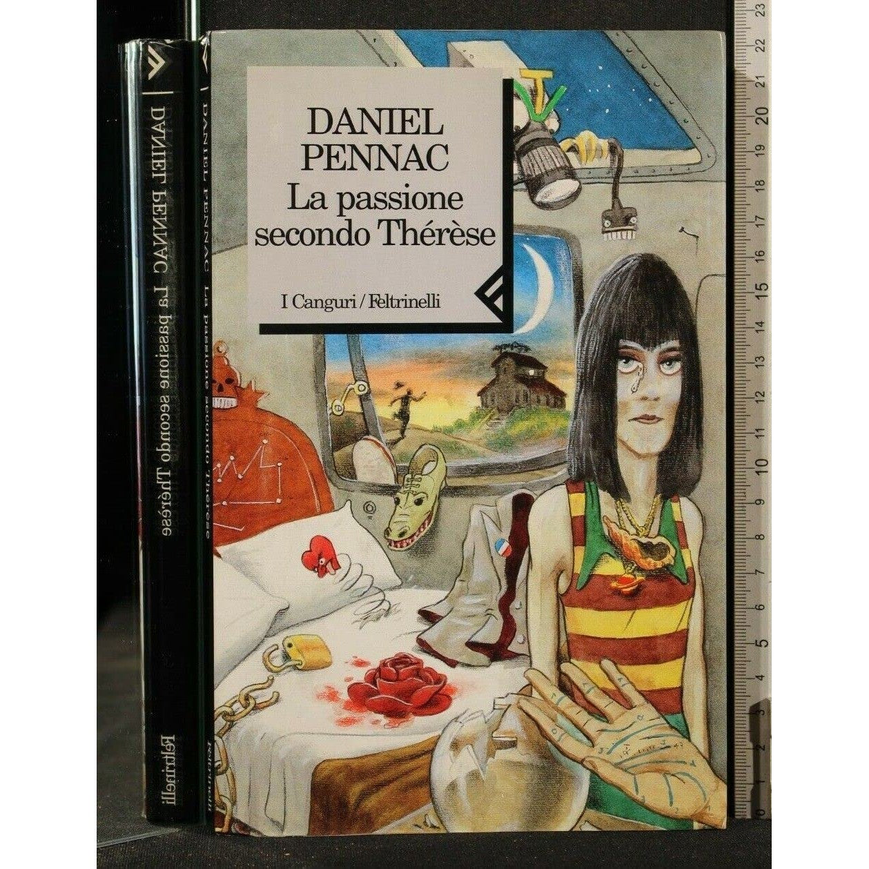Libro - La passione secondo Thérèse - Pennac, Daniel