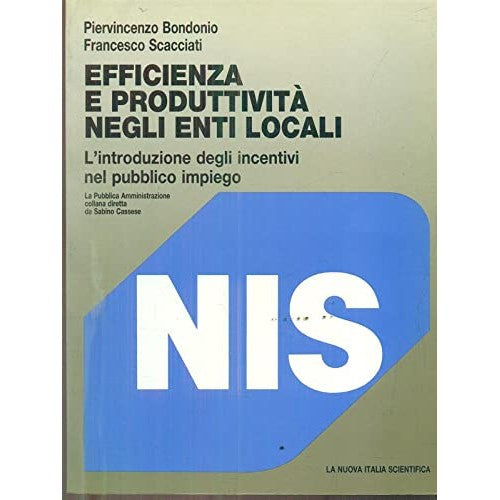 Libro - Efficienza e produttività negli ent - Bondonio, Piervincenzo