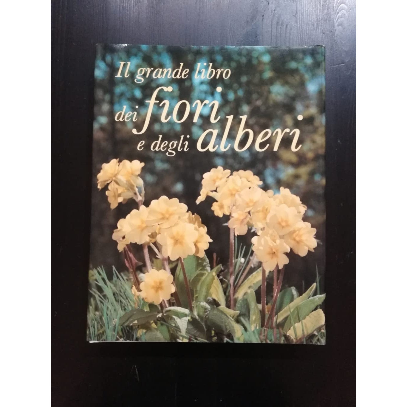 Il grande libro dei fiori e degli alberi - BARNABE' BOSISIO Gina -