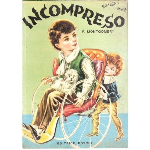 Book - Misunderstood - Montgomery, Fiorenza