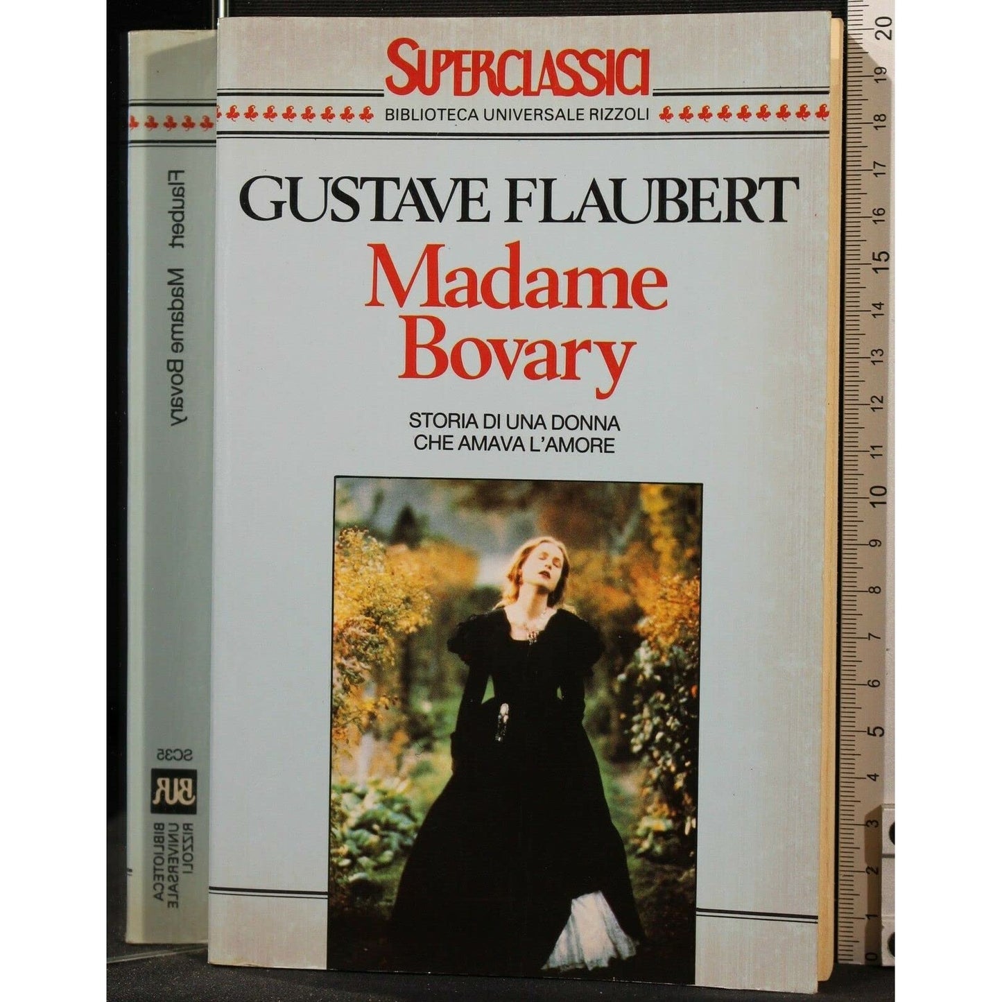 Libro - Madame Bovary - Flaubert, Gustave