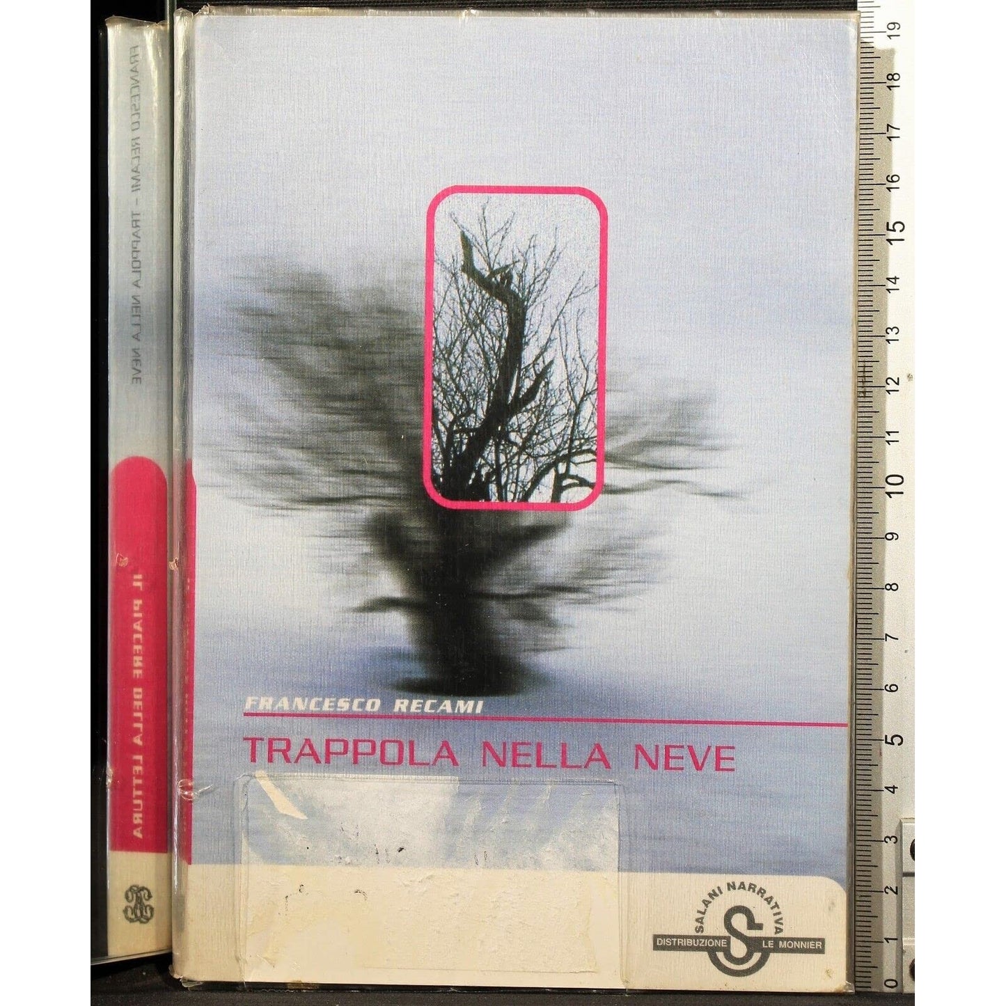 Libro - Trappola nella neve - Recami, Francesco