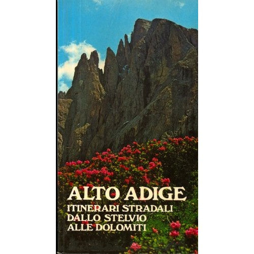Libro - Alto Adige: itinerari stradali dallo Stelvio alle Dolomiti