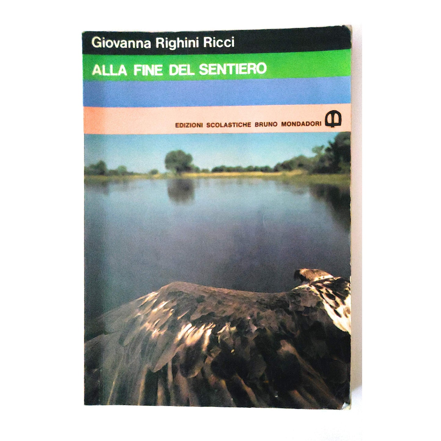 Libro - Alla fine del sentiero - Righini, Ricci G.