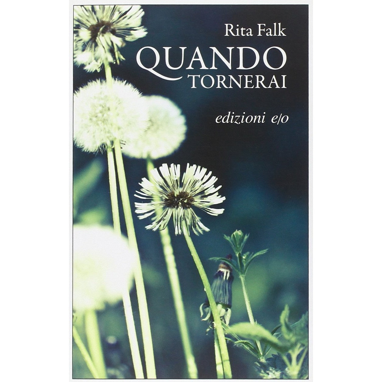 Libro - Quando tornerai - Falk, Rita