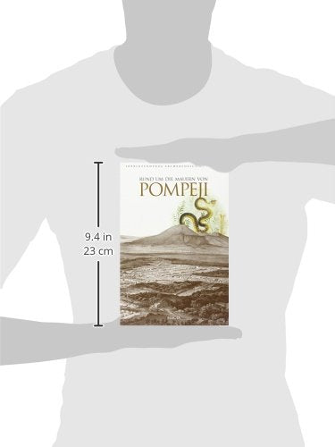 Libro - Lungo le mura di Pompei. L'antica città nel suo ambi - Ciarallo, Annamaria