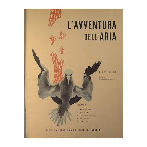 Libro - L'avventura dell'aria Fisher James [C