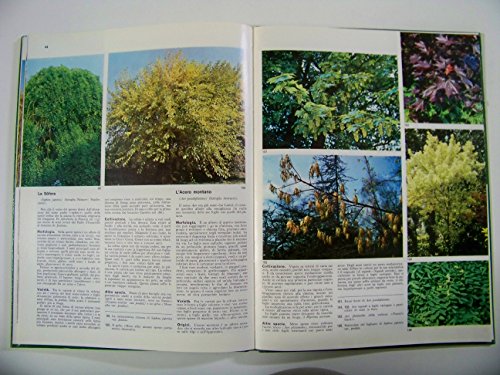 Libro - Alberi e siepi ornamentali - Gian Paolo Mondino