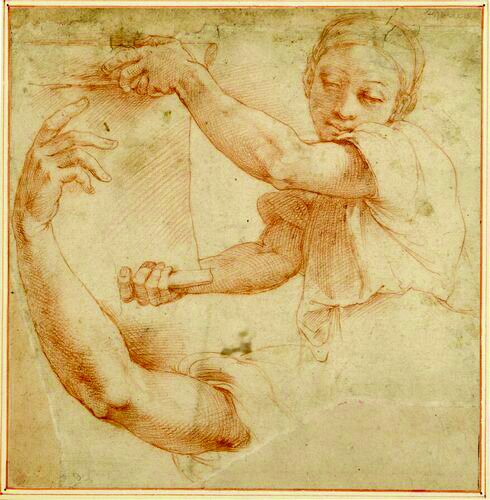 Raphael: The Drawings: Whistler, Catherine: 9781910807156