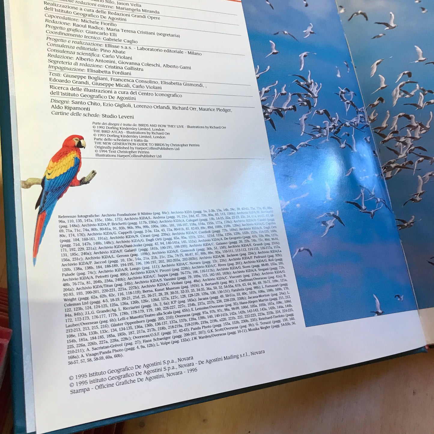 Encyclopedia The magical world of birds DeAgostini 1995 2 volumes
