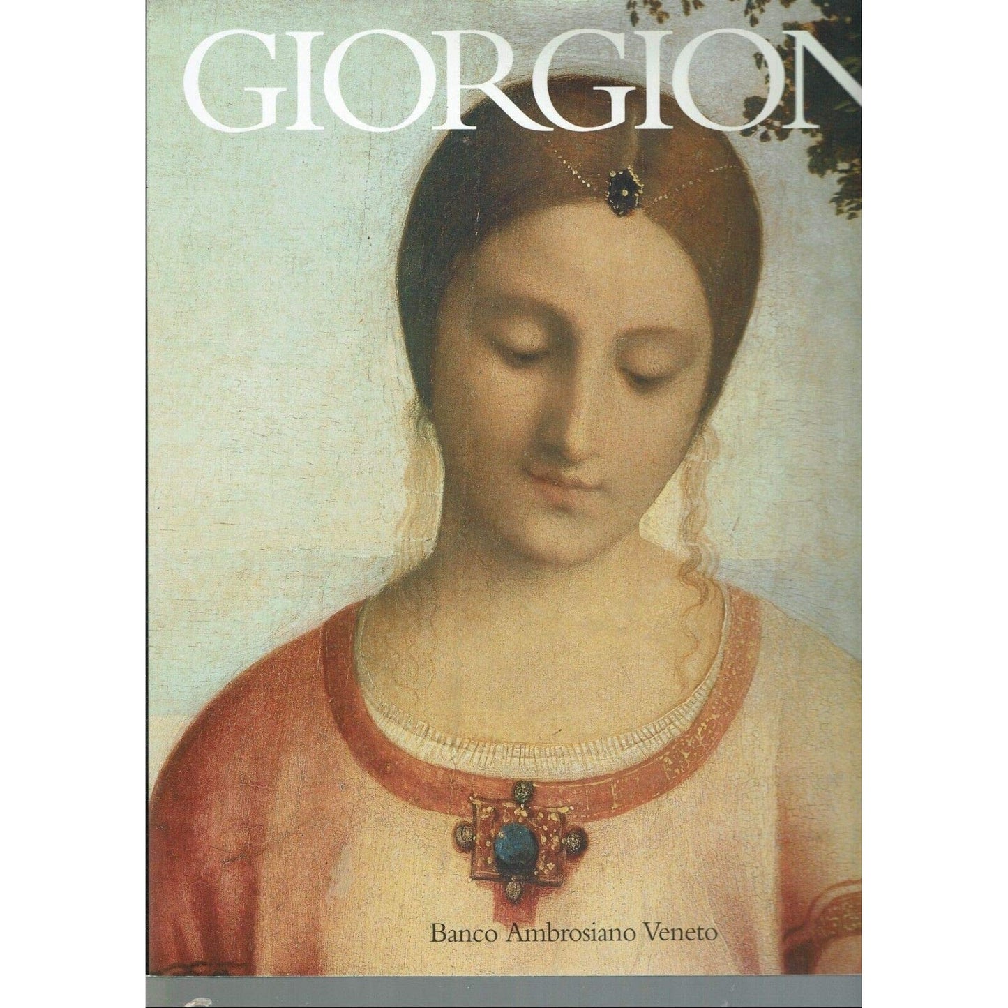 Libro - Giorgione