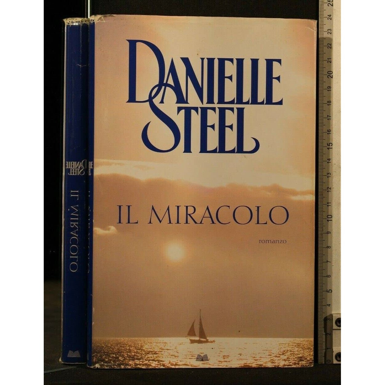 Libro - Il miracolo - Steel, Danielle