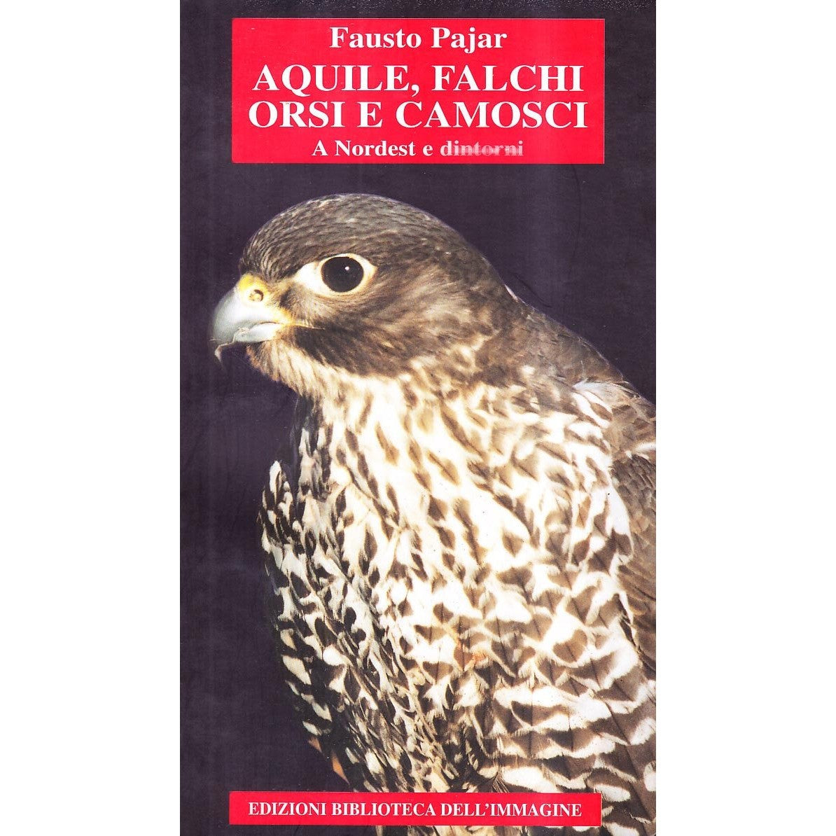 Libro - Aquile, falchi, orsi, camosci a nordest e di - Pajar, Fausto