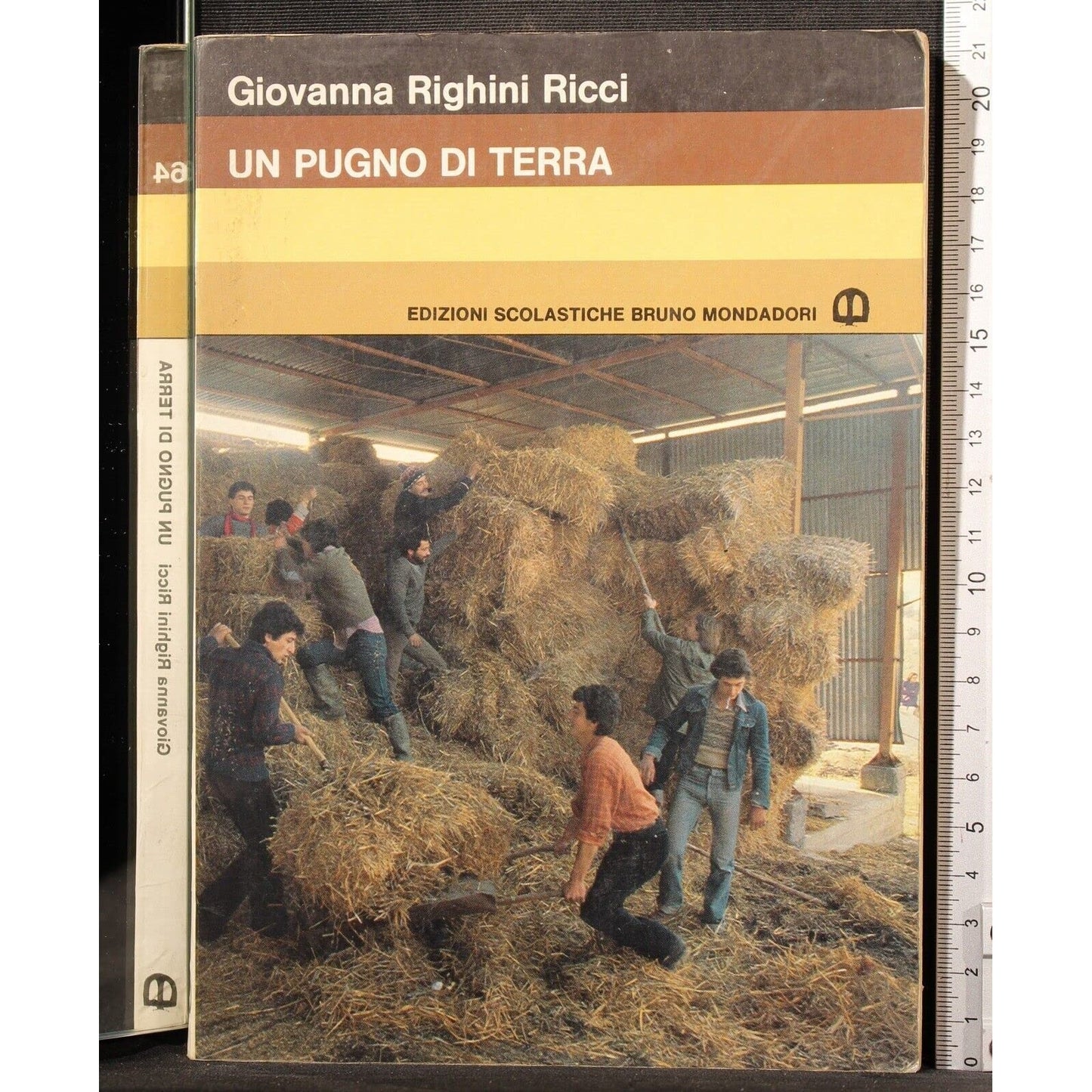 Libro - Un pugno di terra