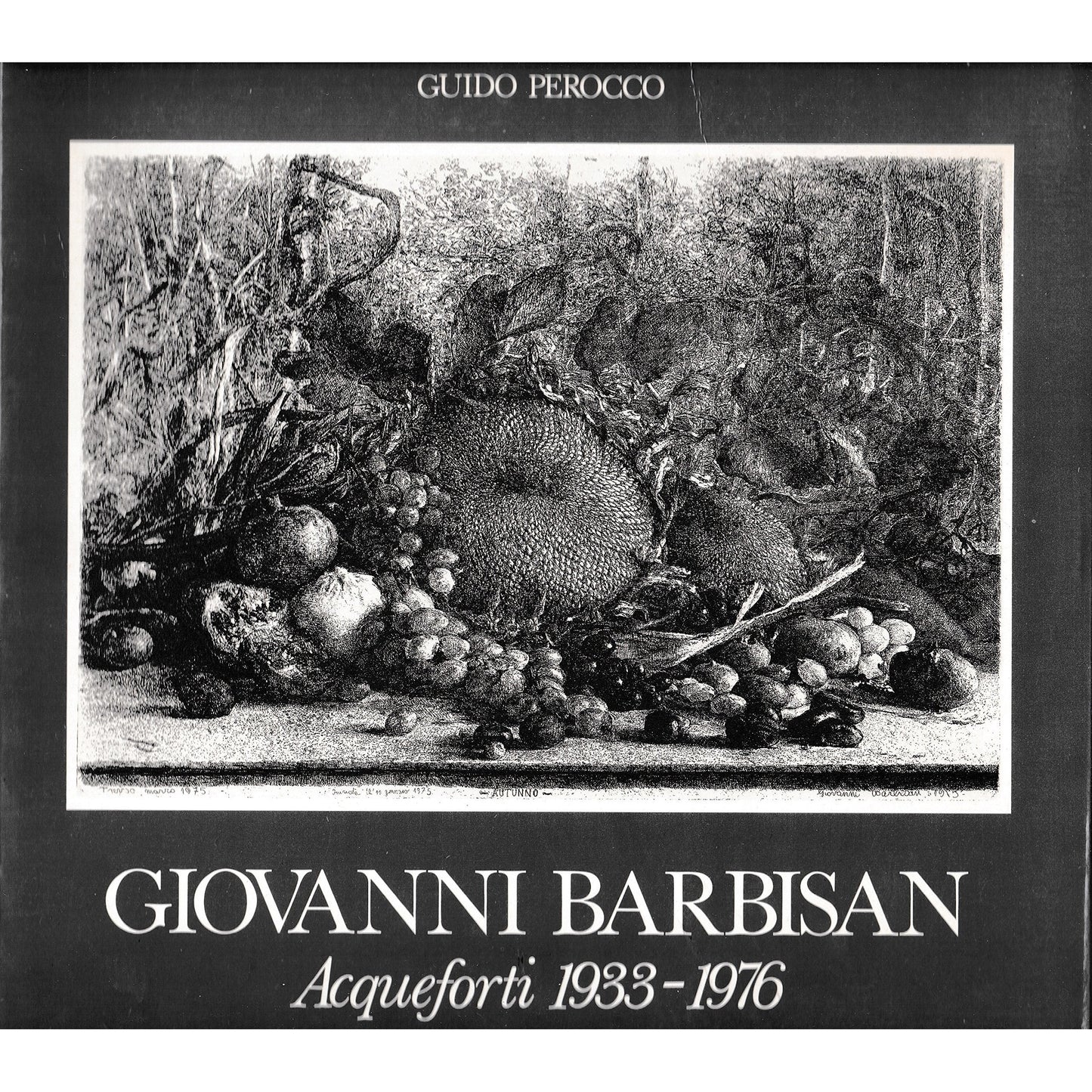 Libro - Giovanni Barbisan Acqueforti 1933-1976