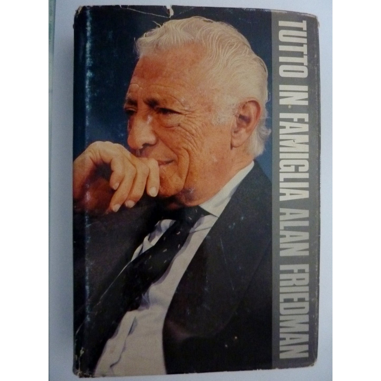 Libro - TUTTO IN FAMIGLIA Ventitrè Fotografie - Alan, Friedman
