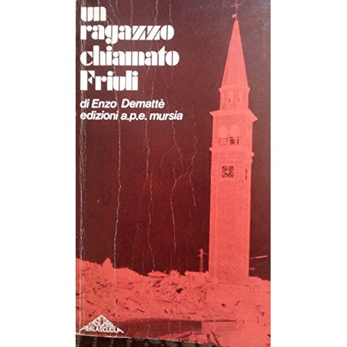 Libro - Un Ragazzo Chiamato Friuli