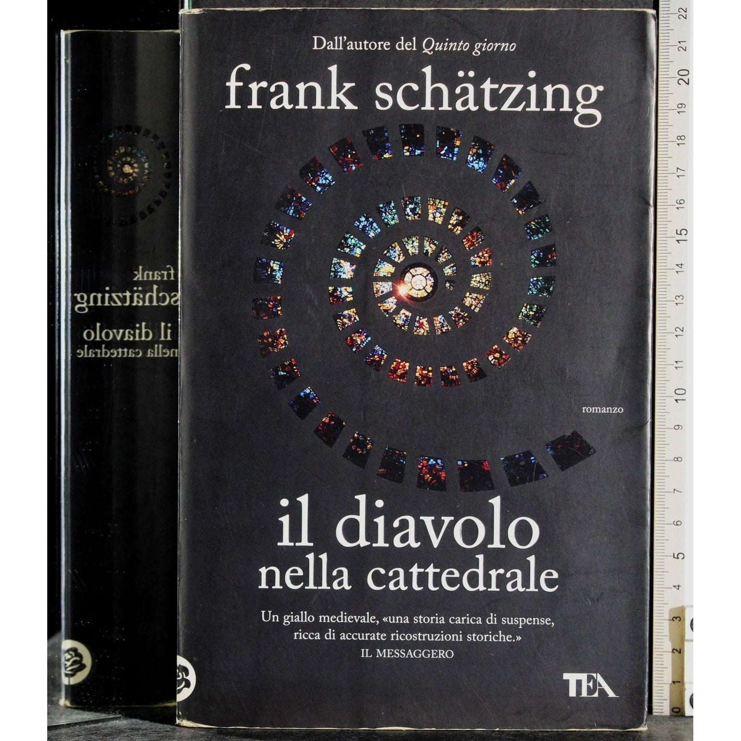 Libro - Il diavolo nella cattedrale - Schätzing, Frank