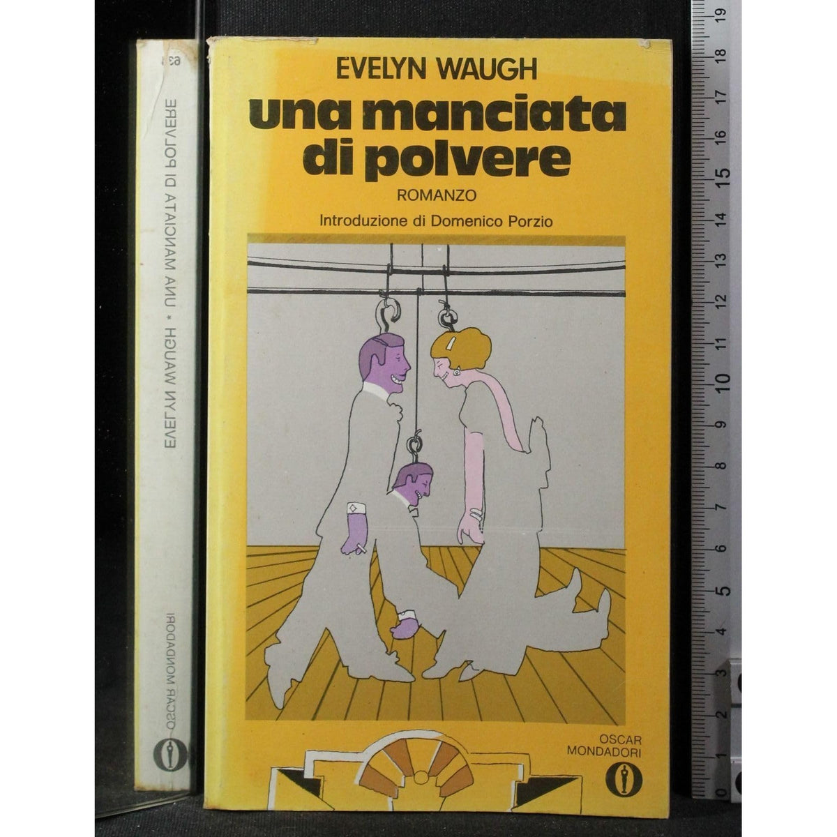 Libro - Una manciata di polvere